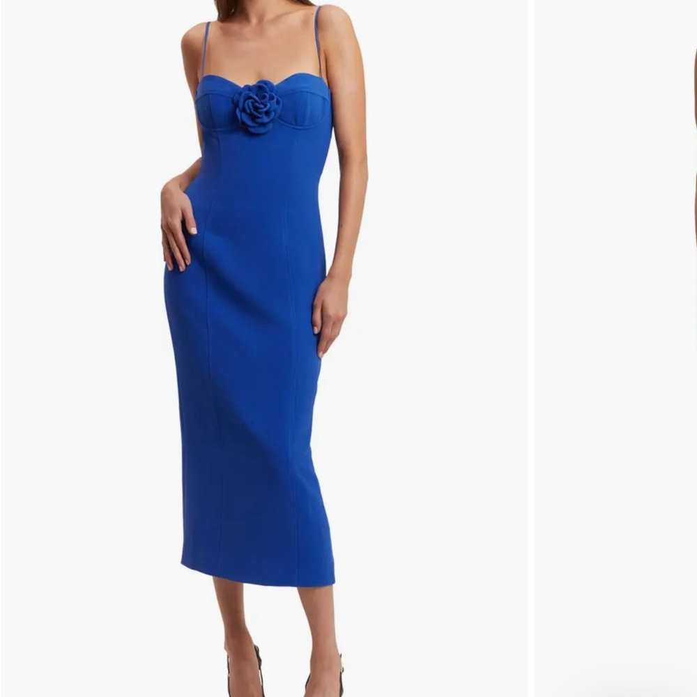 Bardot Elegant Royal Blue Dress